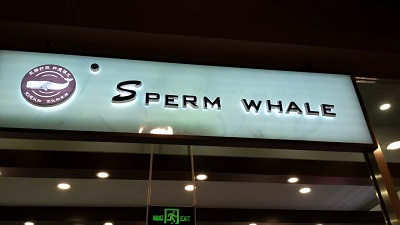 spermwhale