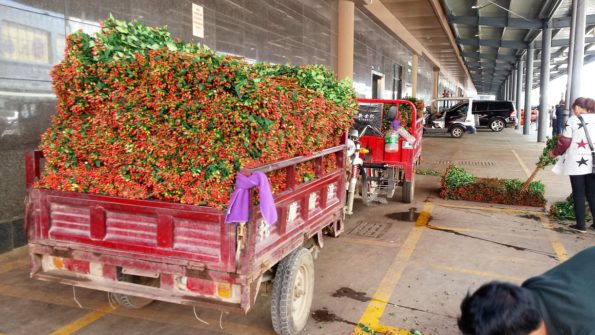 flowertruckkunmingchina