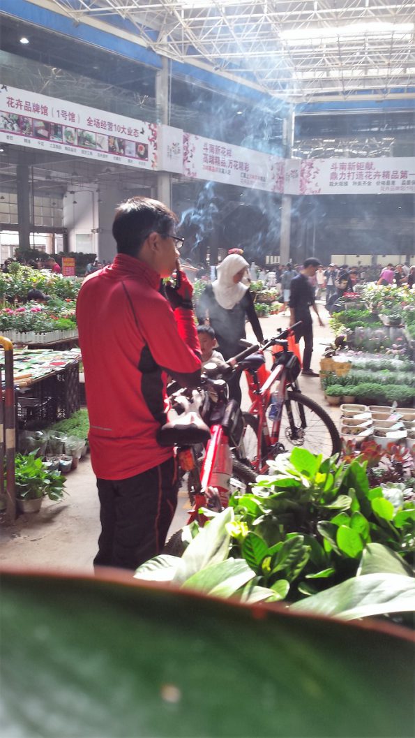 smokerkunmingflowermarket2